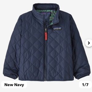 Patagonia Nano Puff Zip up Jacket